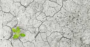 International Day of Climate Action