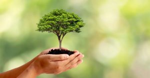 5 Sustainable Ideas for Your Event